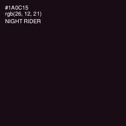 #1A0C15 - Night Rider Color Image